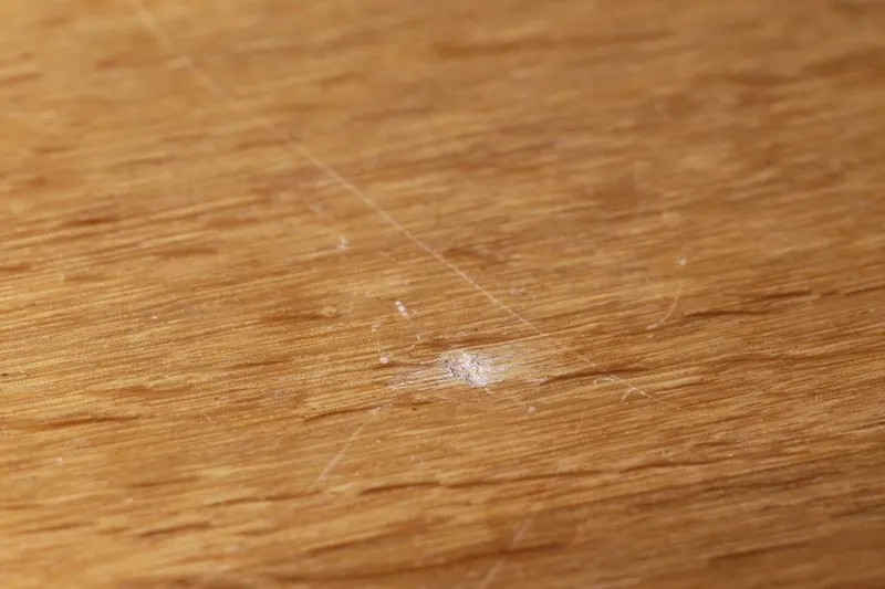 法人様の実績多数です